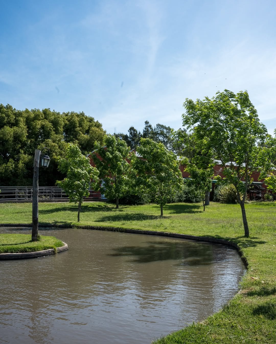 Día de campo